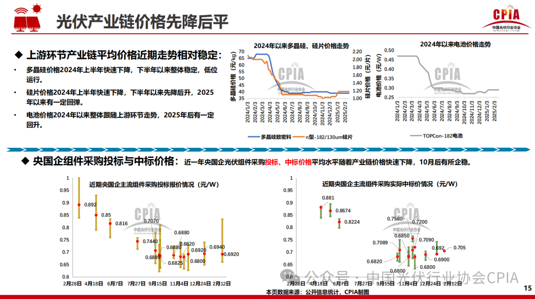 王勃華: 2024年光伏行業(yè)發(fā)展回顧與2025年形勢(shì)展望