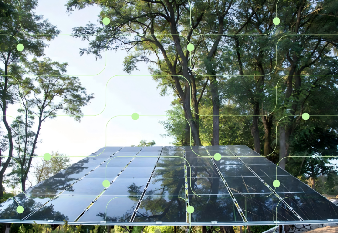 光伏出?！∶乐薰夥袌觥⒄吆鸵?guī)劃